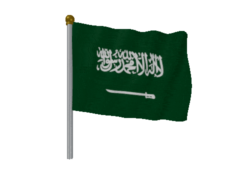 Saudi Arabia Pole Fast Wind animated flag GIF