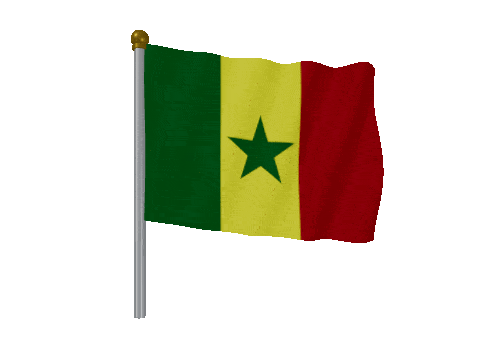 Senegal Pole Fast Wind animated flag GIF