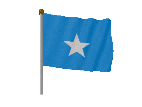 Somalia Pole Fast Wind animated flag GIF