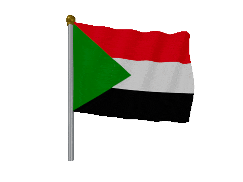 Sudan Pole Fast Wind animated flag GIF
