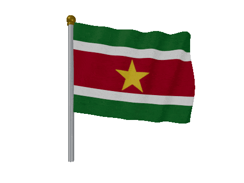 Suriname Pole Fast Wind animated flag GIF