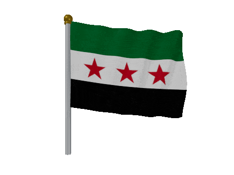 Syria Pole Fast Wind animated flag GIF