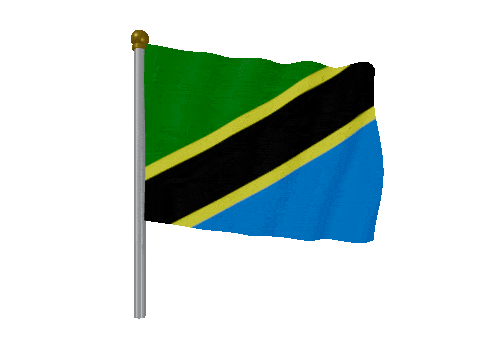 Tanzania Pole Fast Wind animated flag GIF