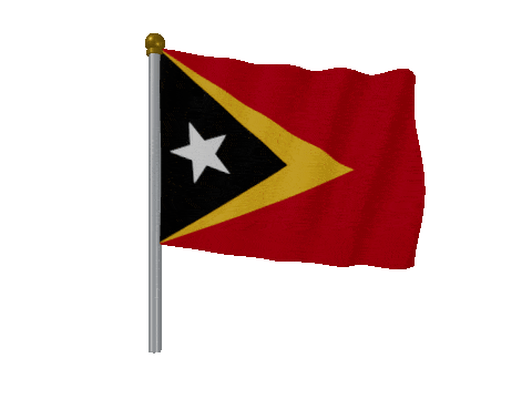 Timor Leste Pole Fast Wind animated flag GIF
