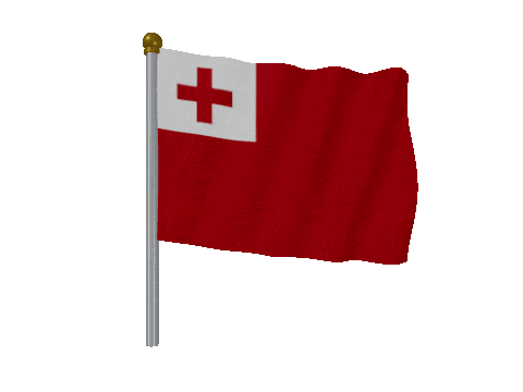 Tonga Pole Fast Wind animated flag GIF