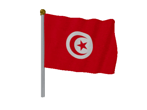 Tunisia Pole Fast Wind animated flag GIF
