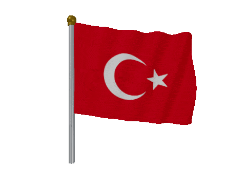 Turkey Pole Fast Wind animated flag GIF