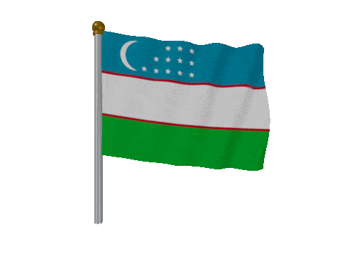 Uzbekistan Pole Fast Wind animated flag GIF