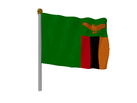 Zambia Pole Fast Wind animated flag GIF