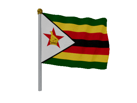 Zimbabwe Pole Fast Wind animated flag GIF