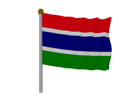 Gambia Pole