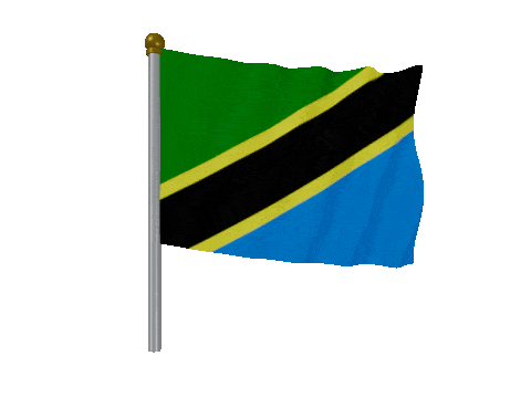 Tanzania Pole animated flag GIF