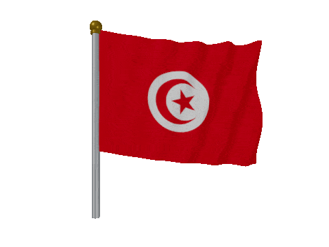 Tunisia Pole animated flag GIF