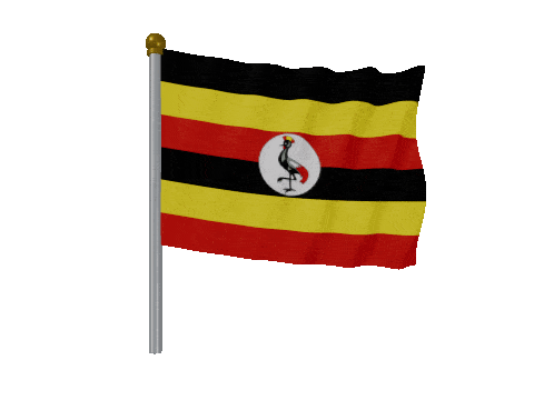 Uganda Pole