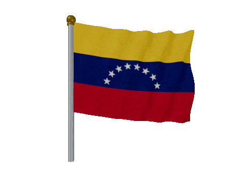 Venezuela Pole animated flag GIF