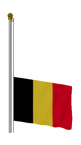 Belgium Raise & Lower animated flag GIF