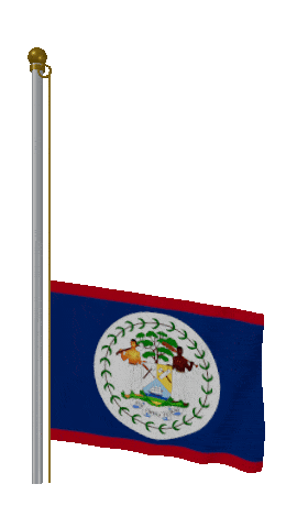 Belize Raise & Lower animated flag GIF