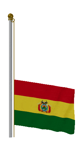 Bolivia Raise & Lower animated flag GIF