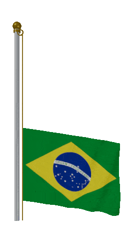 Brazil Raise & Lower animated flag GIF