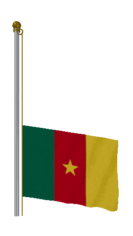 Cameroon Raise & Lower animated flag GIF