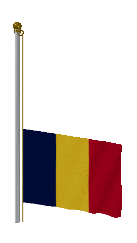 Chad Raise & Lower animated flag GIF