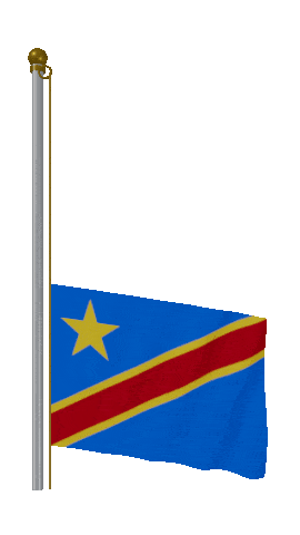 Dr Congo Raise & Lower animated flag GIF