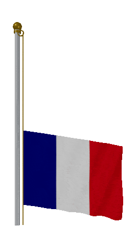 France Raise & Lower animated flag GIF