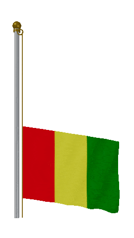 Guinea Raise & Lower animated flag GIF