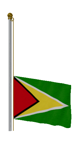 Guyana Raise & Lower animated flag GIF