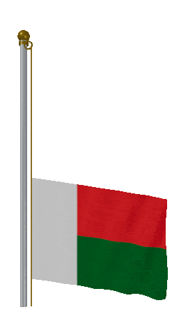 Madagascar Raise & Lower animated flag GIF