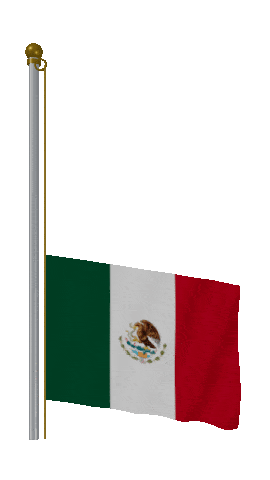 Mexico Raise & Lower animated flag GIF