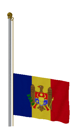 Moldova Raise & Lower animated flag GIF