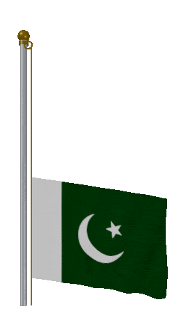 Pakistan Raise & Lower animated flag GIF
