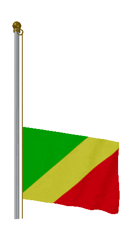 Republic Of The Congo Raise & Lower animated flag GIF