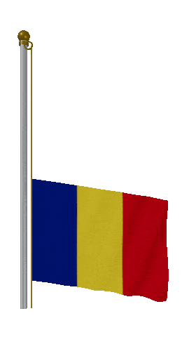 Romania Raise & Lower animated flag GIF