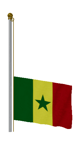 Senegal Raise & Lower animated flag GIF