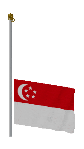 Singapore Raise & Lower animated flag GIF