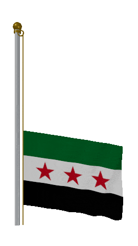 Syria Raise & Lower animated flag GIF