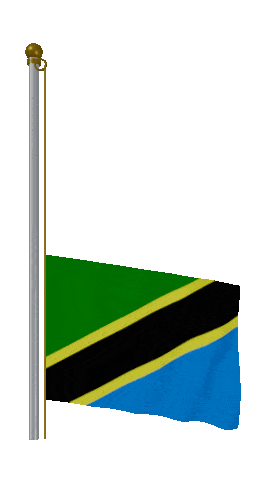 Tanzania Raise & Lower animated flag GIF