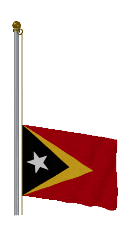 Timor Leste Raise & Lower animated flag GIF