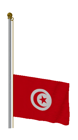 Tunisia Raise & Lower animated flag GIF