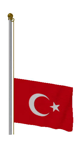 Turkey Raise & Lower animated flag GIF