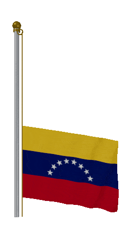 Venezuela Raise & Lower animated flag GIF