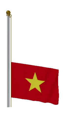 Vietnam Raise & Lower animated flag GIF