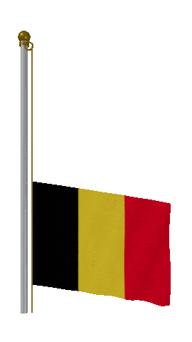 Belgium Raise Pole animated flag GIF