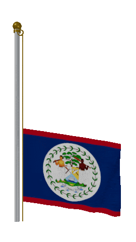 Belize Raise Pole animated flag GIF