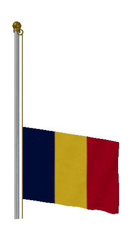 Chad Raise Pole animated flag GIF