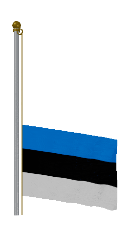 Estonia Raise Pole animated flag GIF