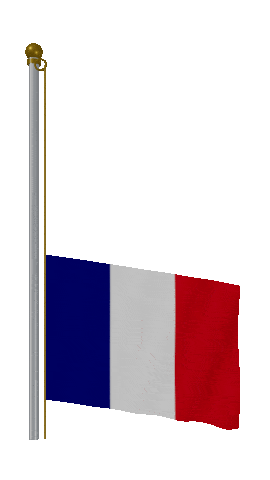 France Raise Pole animated flag GIF