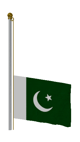 Pakistan Raise Pole animated flag GIF